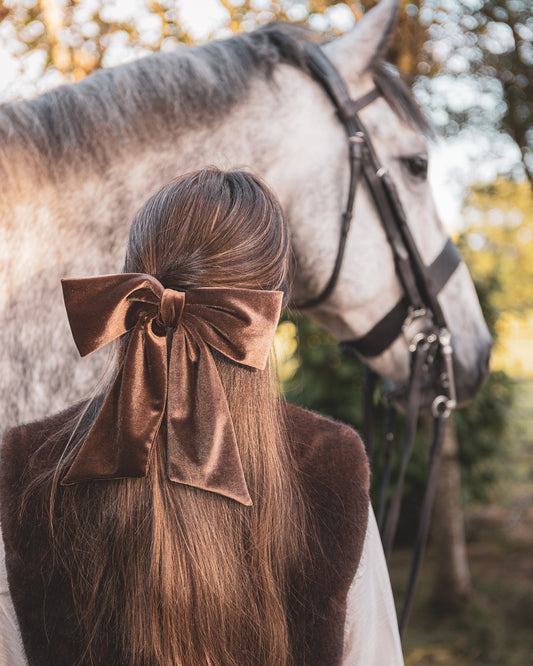 Bury Velvet Large Bow Hair Clip - Bear Brown
